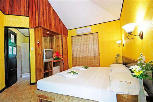 Hotel Villa Teca 曼努埃尔安东尼奥 外观 照片